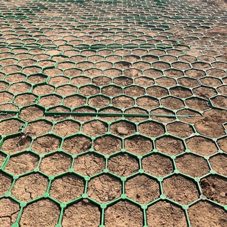 Тайбэй ZCWY hdpe пластиковая газонная пластиковый дорожный сетки hdpe пластиковая газонная решетка