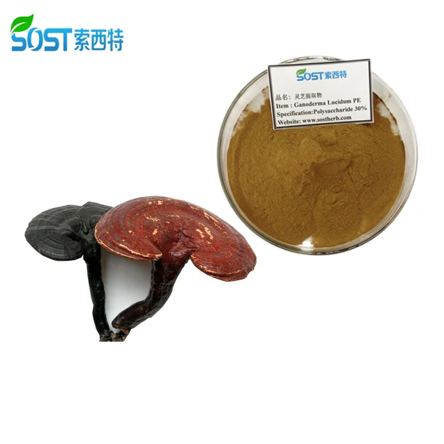 
High Quality EU Organic Powdered Reishi Mushroom Capsule 