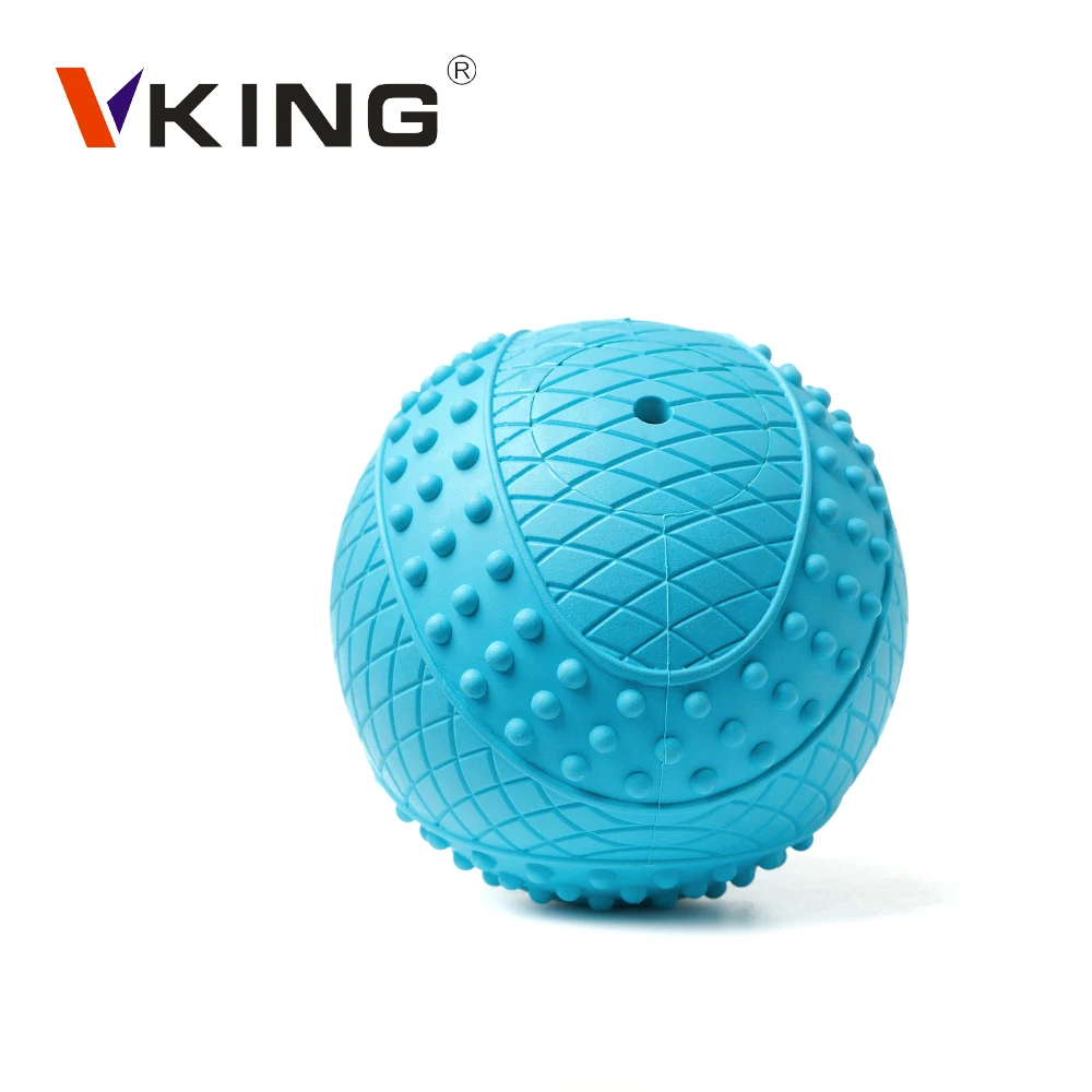  Vking Amazon Pets Bite Play interactive Training Squeaky dog