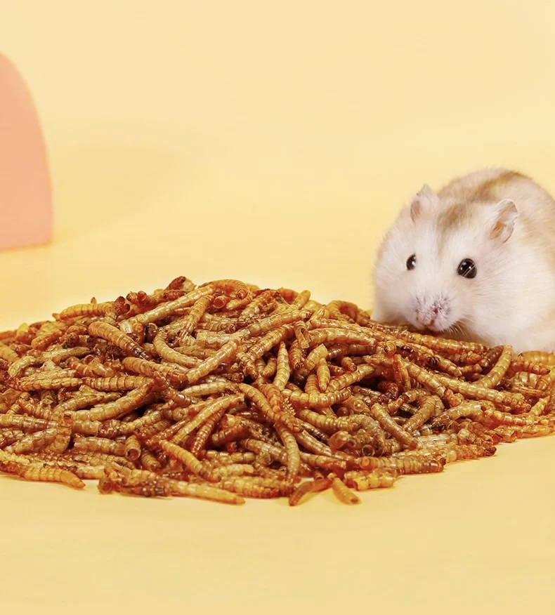Wholesale small pet food hamster freeze dried dried mealworm treats small pet snacks