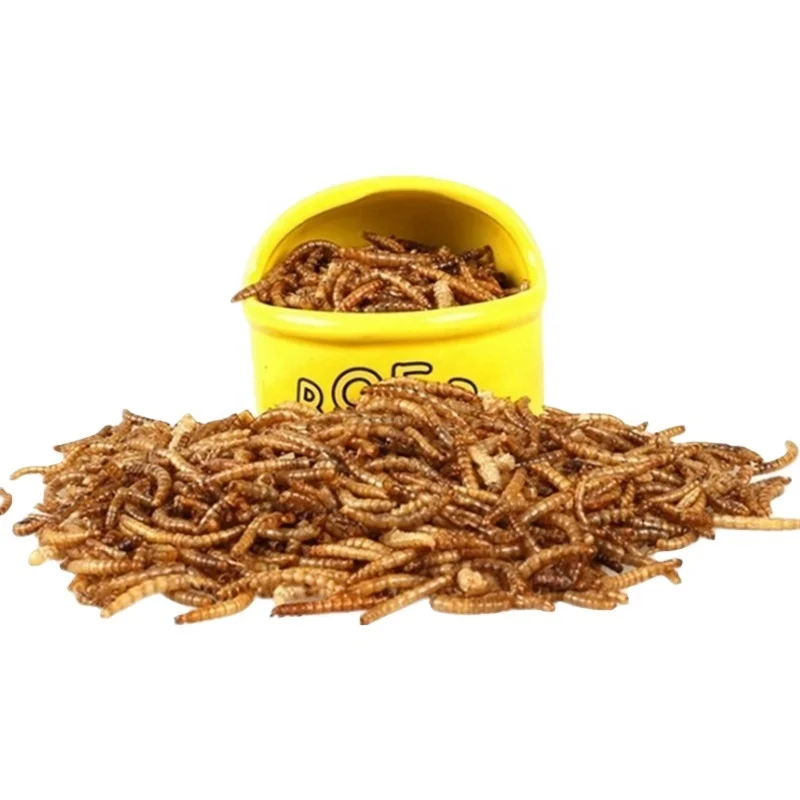 Factory feed additives Pet Food Bird Food Edible Tenebrio Molitor Dried Mealworm