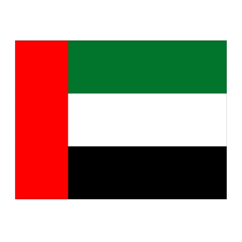 Лучший агент по доставке из Китая в UAE DDP доставка ОАЭ Дубай и воздушная Доставка от двери до