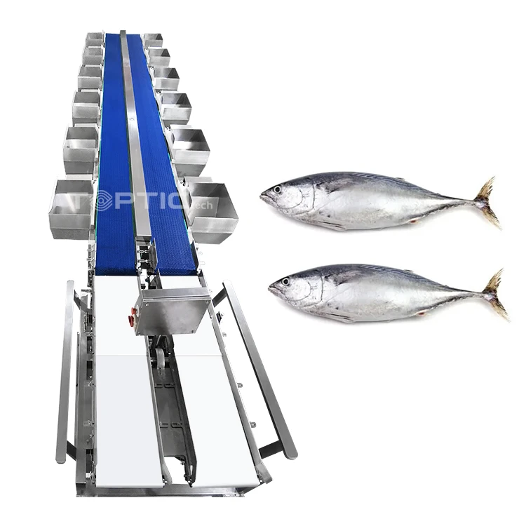 Weight Sorting Machine Grader Sorter Machinery Grading Machine Classifier for Shrimp Oyster Tilapia Seafood Abalone Processing