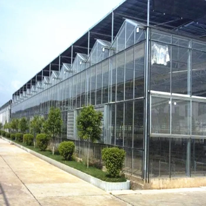 
Factory Sale Various Agricultural Tunnel Greenhouse Commercial Garden Greenhouse Flower House 