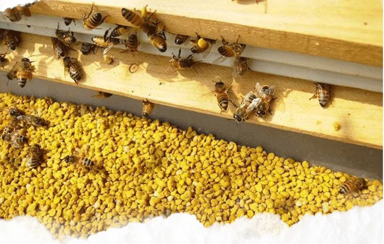 100% Pure Fresh Rape Bee Pollen for Man