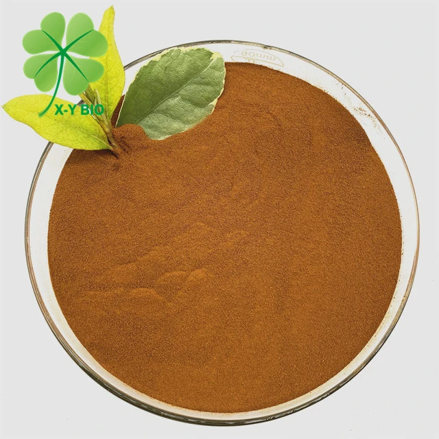 Best Quality Fulvic Acid Fertilizer Biochemical Fulvic Acid Powder
