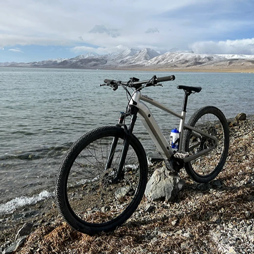 Высококачественный Электрический велосипед BAFANG long range 29 дюймов M510 mtb 250 Вт Европейский запас