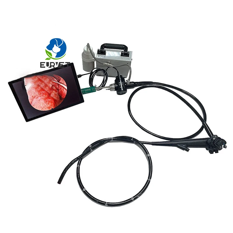 EUR PET Best Quality Camara Endoscopio Veterinary Driver Usb Camara Endoscopio Veterinary EquipmentFor Big Clinic