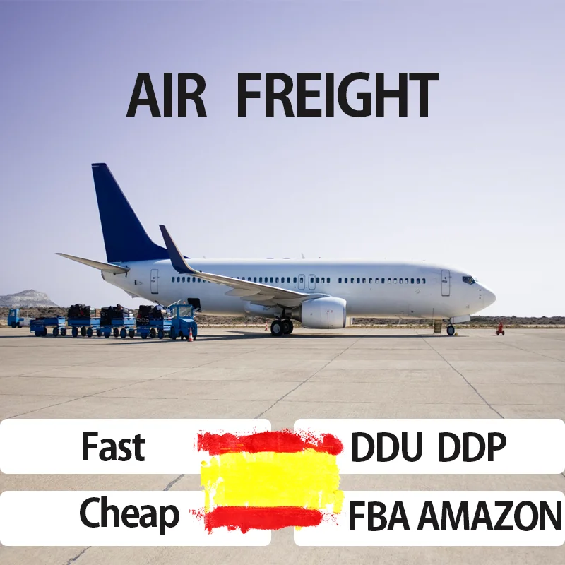 Customs Clearance Service Sea shipping forwarder from china Import to