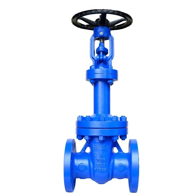 High Temperature Resistant Steam Thermal Oil DIN Bellows Flange Gate Valve General Water Control Valve Manual 1.5 ISO Cast Steel