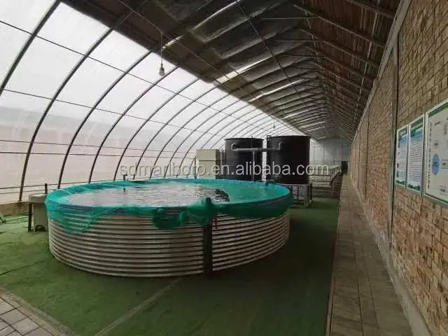 Plastic Fish Farm Tank for Fish Farming Ponds For Fish and Shrimp RAS Tilapia Farming Fisheries Aquaculture System Equipment