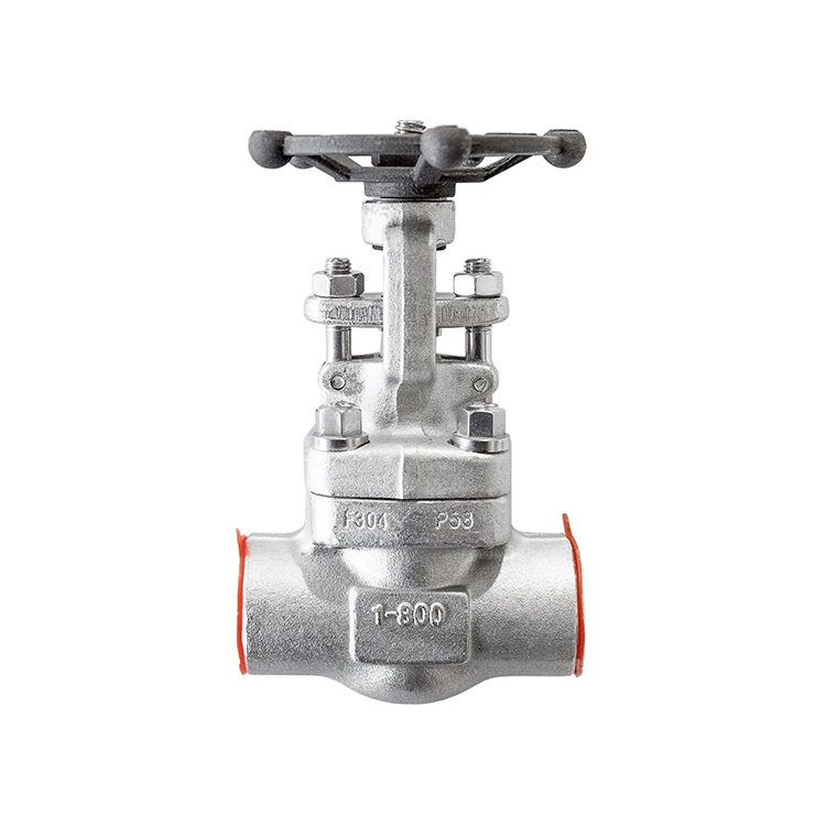 
Socket welding gate valve forged 800LB stainless steel F304316L gate valve 
