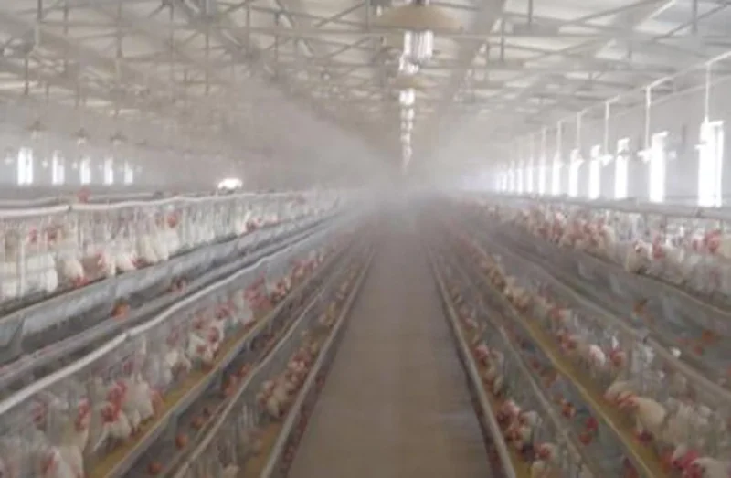 Hot Sale 2.0L/Min Garden Sprayer Industrial Sprayer Fog Machine Water High Pressure Misting System Dry Fog Mist Cooling