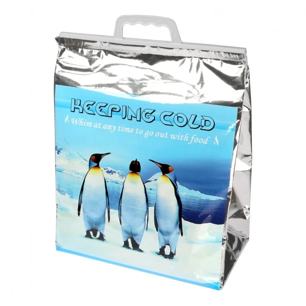 Hot Cold Thermal Bags Portable Waterproof Insulated Thermal Food Delivery Bag Reusable Lunch Cooler Thermo Bag