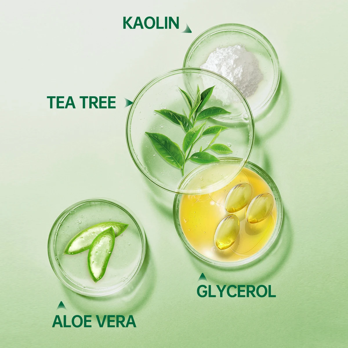 Material Body Customization OEM/ODM Tea Tree Portable Facial Mud Mask Green Tea Clay Mask Stick Clay Mask Box