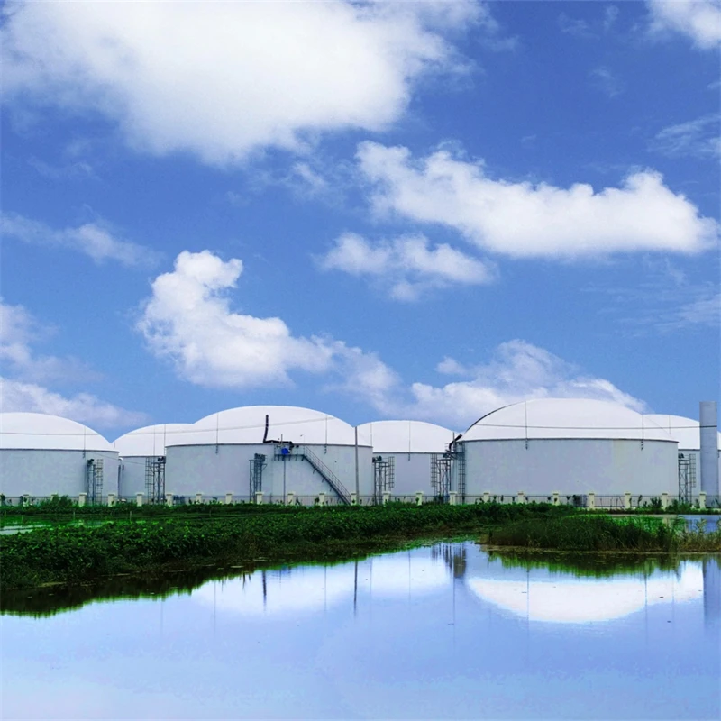 Усовершенствованный очиститель для биогаза H2S менее агрессивный метановый разделения аминового раствора