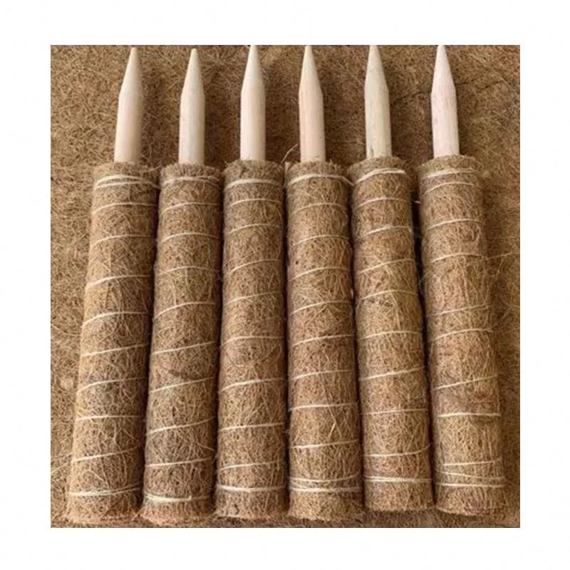 Hot Selling Self Watering Moss Pole 12/16/20 Inches Coir Totem Pole Plant Support Coco Coir Poles for Creeper