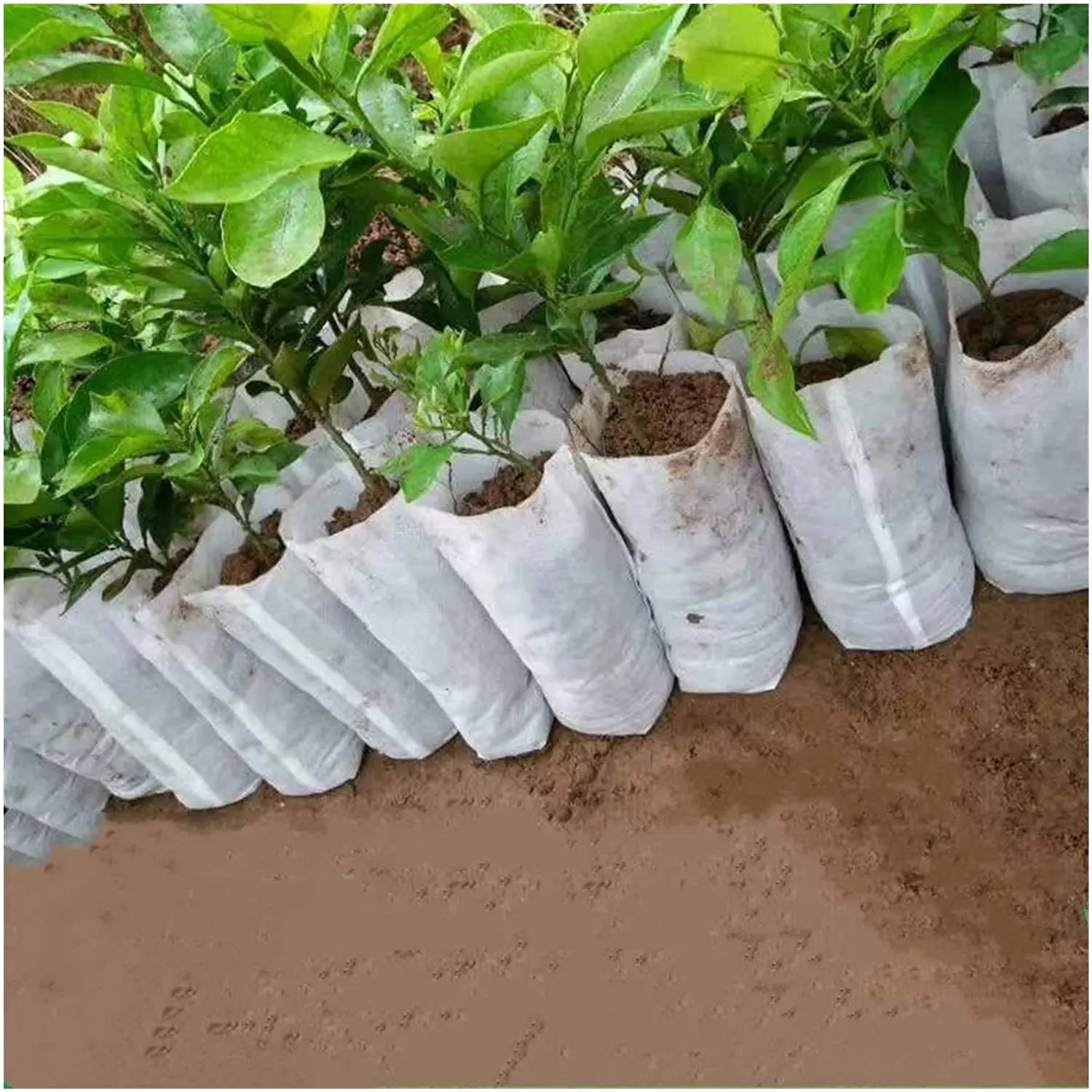 100Pcs/bag Biodegradable Non-Woven Nursery Bag Plant Grow Seed Seedling Pots New