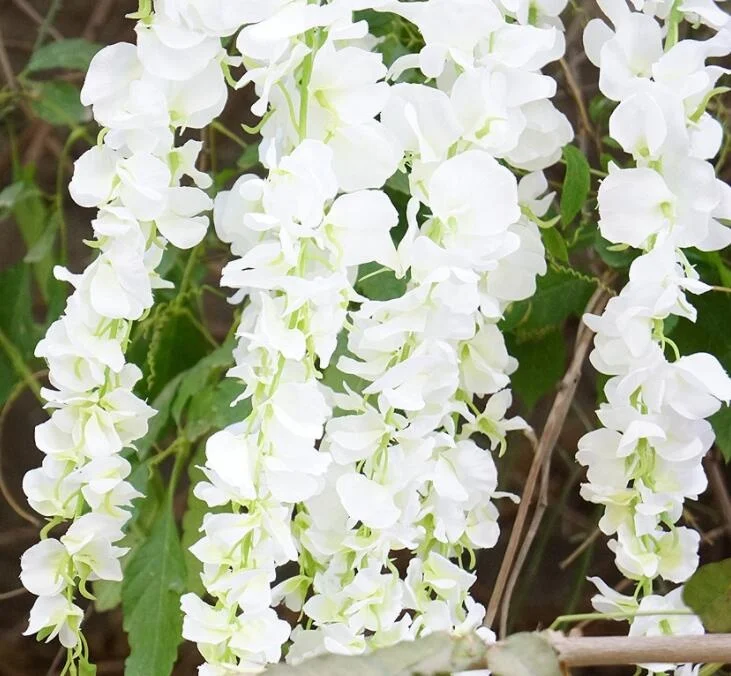 FC5002 Amazon Artificial Silk Wisteria Flowers Vine Hydrangea Flower Hanging Garland for Home Wedding Party