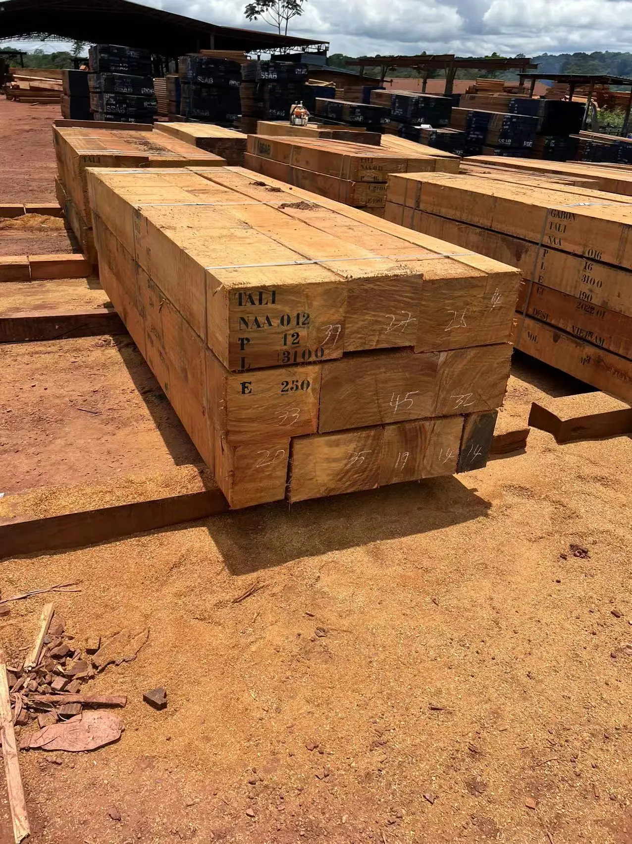 SSAB Logo Brand Tali пиломатериалы из Габона, хорошее качество по хорошей цене