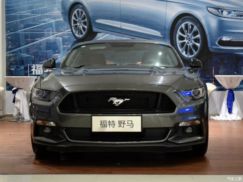 For Ford Mustang Side Skirts Extensions Carbon Fiber 2015 2016 2017 2018 2019 2020