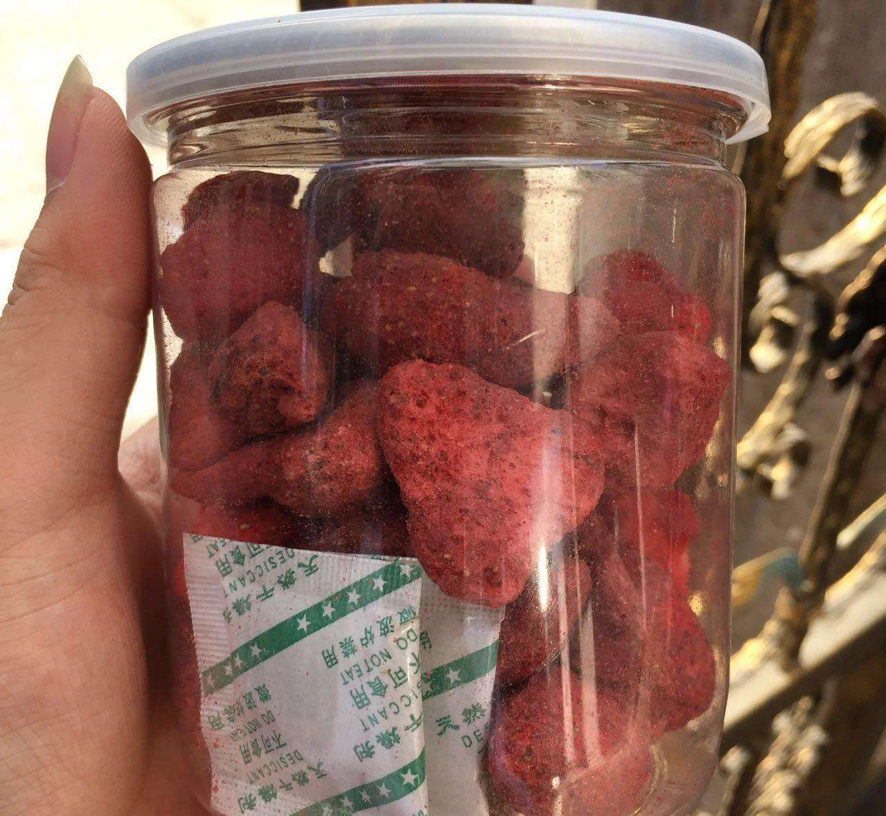 Meat Fruits Vegetables Small Lyophilizer Food Freeze Drying Machine Vacuum Home Freeze Dryer Machine