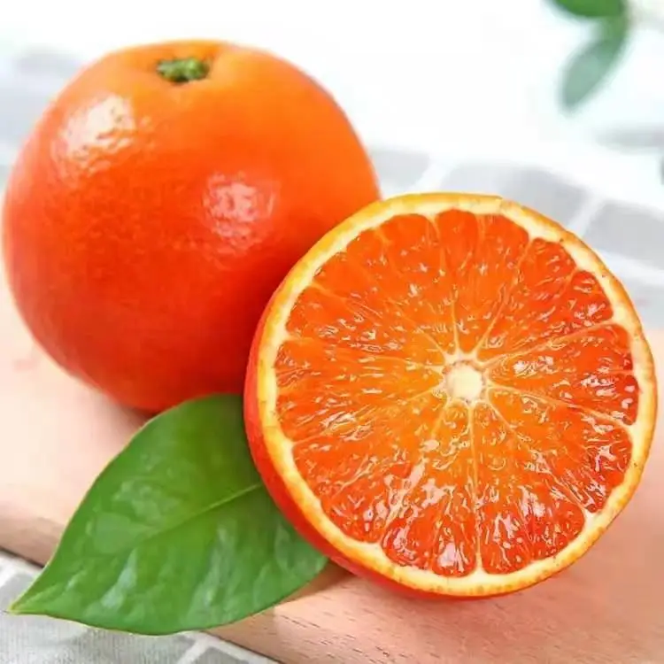 
Best Price Yongchun Mandarin Fresh Orange Fruit 