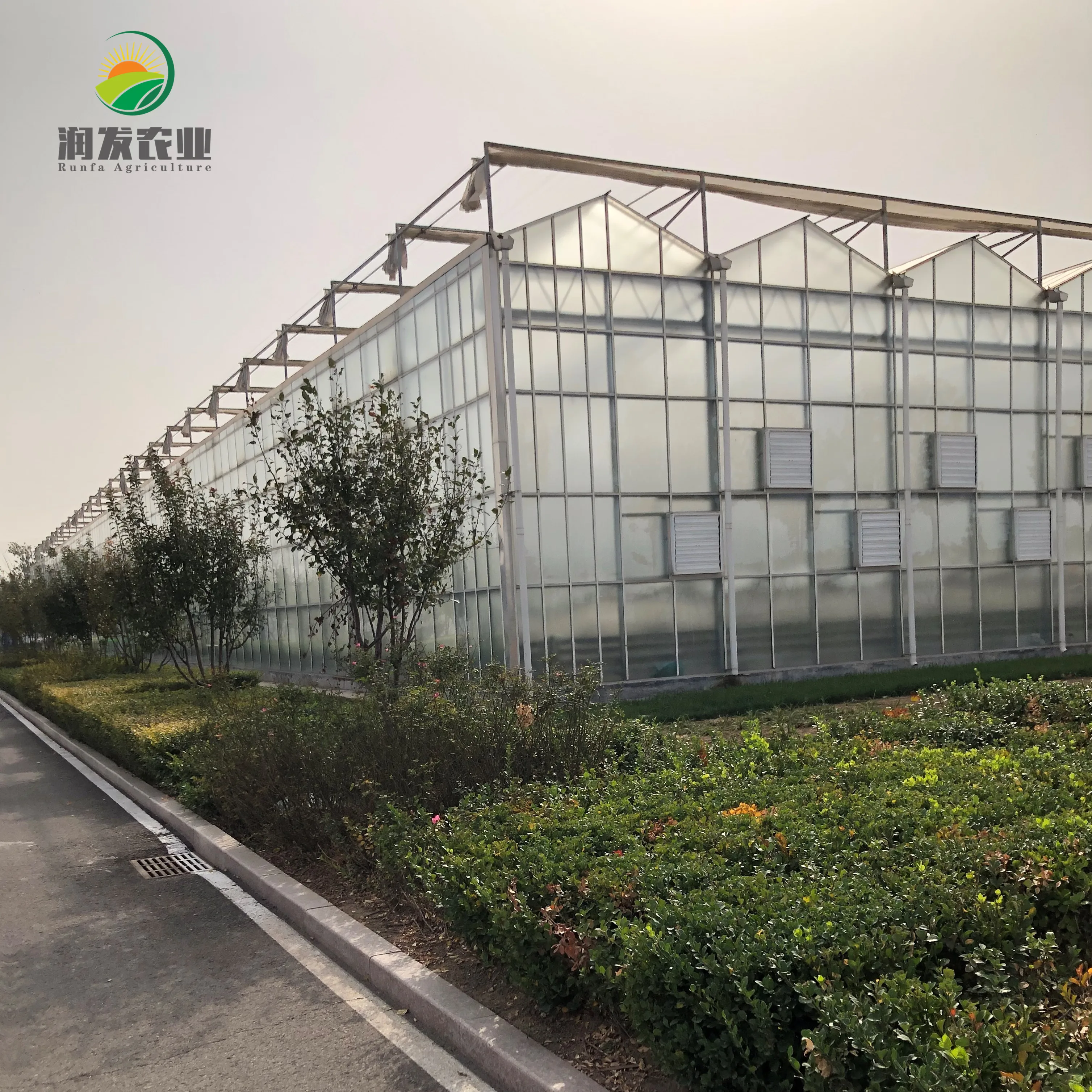 Smart Glass Greenhouse For Soilless Culture System Greenhouses Wholesale