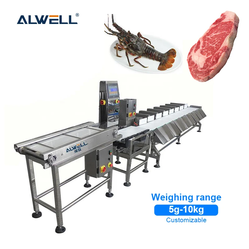 High precision shrimp sorting machine full automatic dynamic conveyor belt fish weight sorting machine