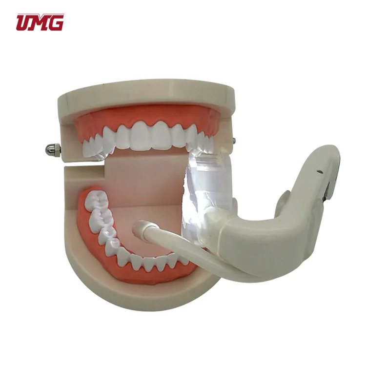 Медицинское портативное интраоральное устройство для всасывания света