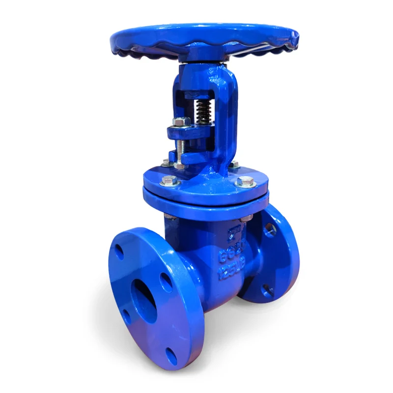 Hard Soft Seal Gate Valve With Prices Pn16 Pn25 Dn100 Dn250 Ductile Iron Standard Water Flanged Gate Valves Flange