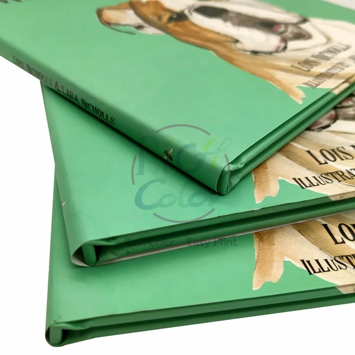 Guangdong OEM professional printing factory hardcover cheap printing children book