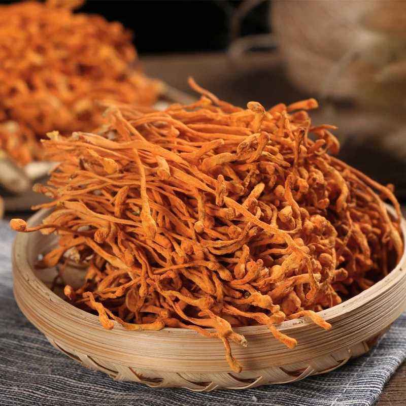 Горячая Здоровая пища YINING, органические сушеные кордицепсы, цветок Chongcaohua