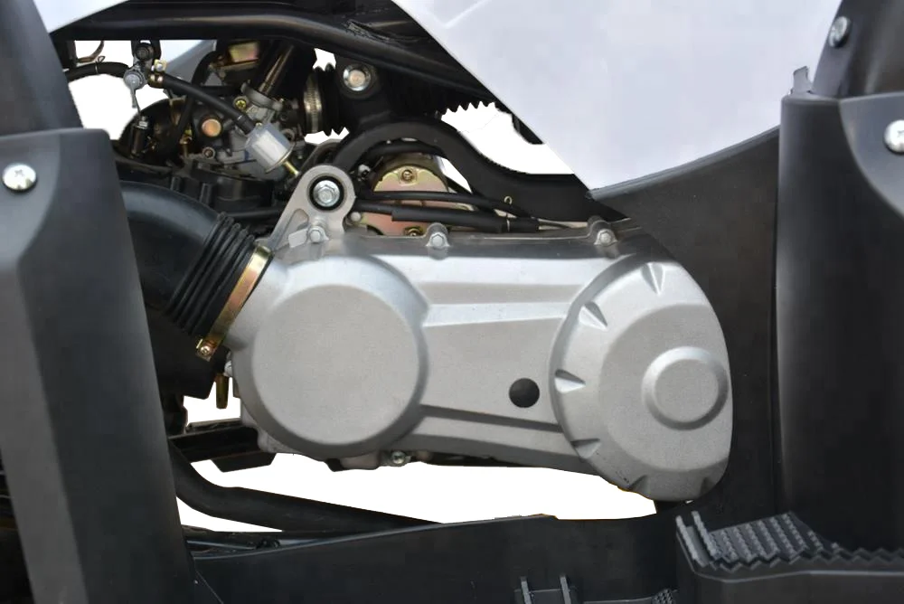  FXATV-200cc CVT ENGINE