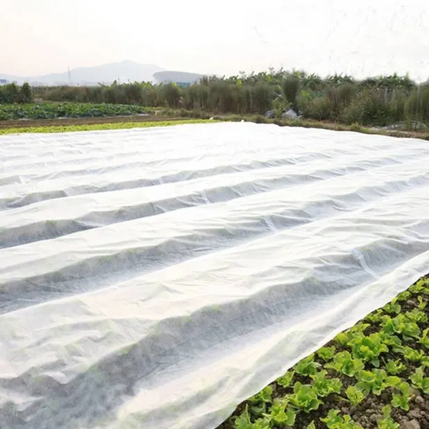 Polypropylene Nonwoven Plant Protection Blankets PP Non Woven Cover Agricultural Frost Blanket