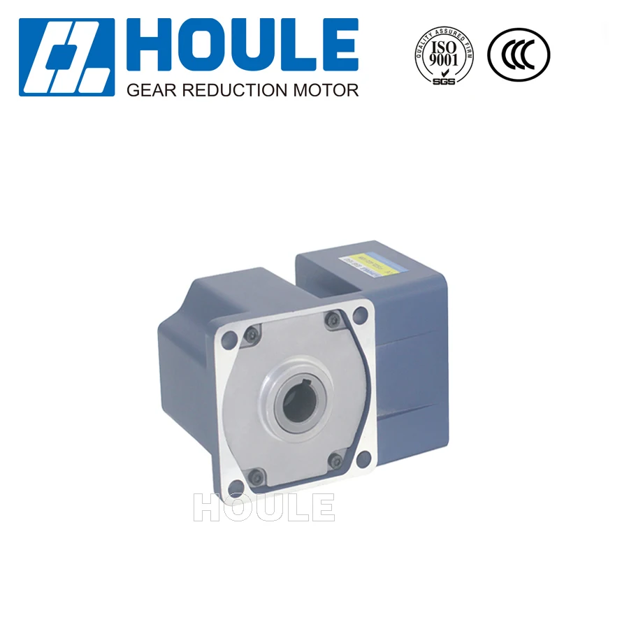 Houle AC/DC 25W ~400W  gear motor F1 type reducer low noise  variable speed motor with speed controller gear motor