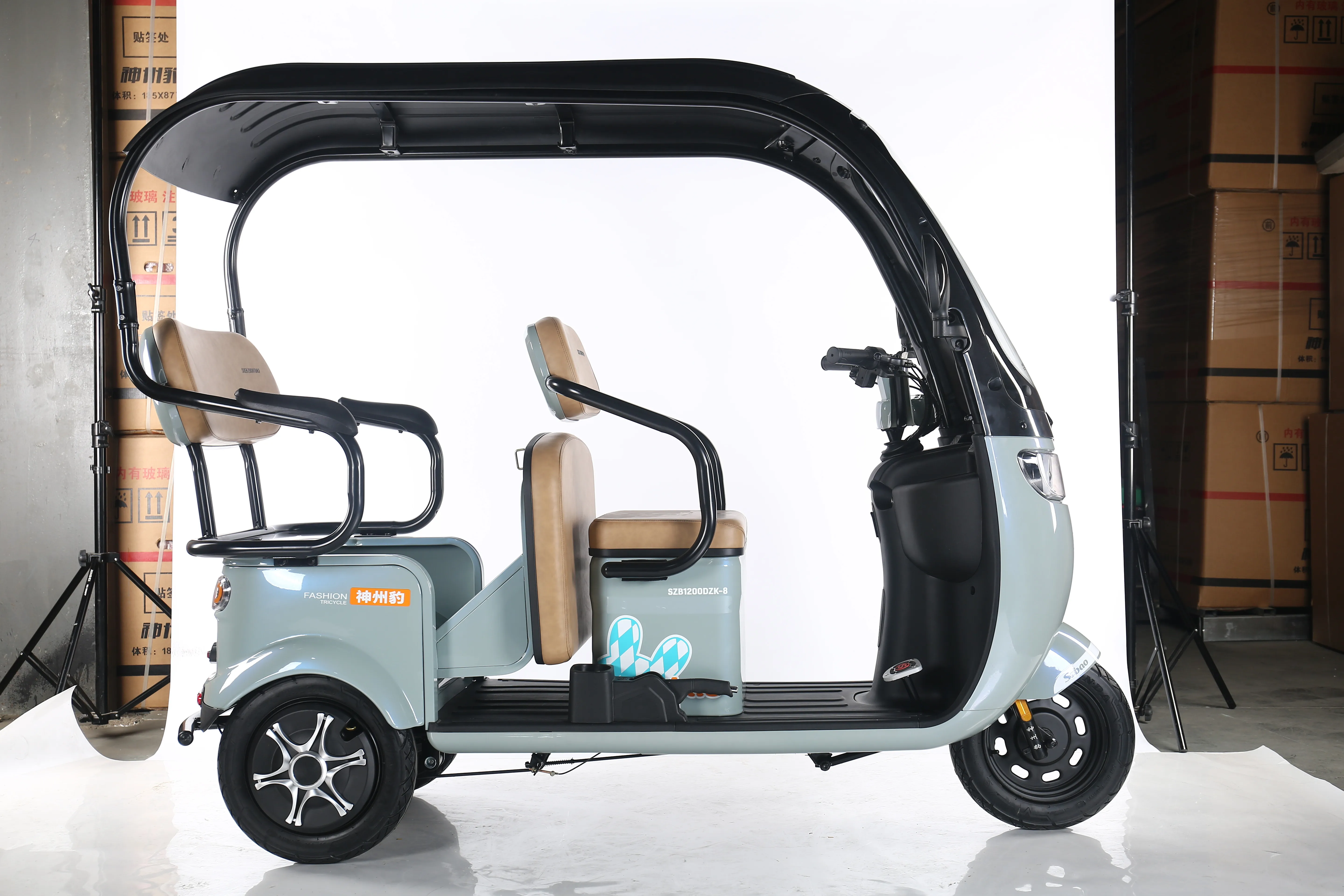 China Cheap adult electric tricycle 3 Wheeler Electric Vehicle Tricycle For 2 People