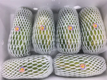 Thai Fruits and vegetables For Export Cheap Price And Quick Response With High Quality From Thailand