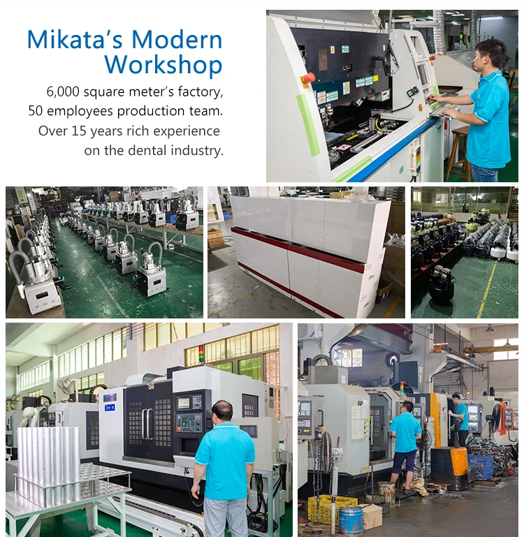 Foshan Mikata Export dental autoclave sterilizer class n DE-515 dental autoclave for Hospital used