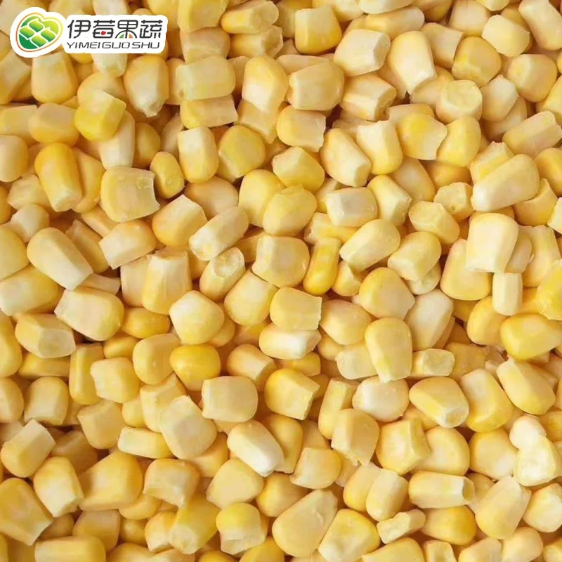 Price of oriental iqf frozen fresh white maize mini sweet corn manufacturers import and export boiled sweet corn 400g