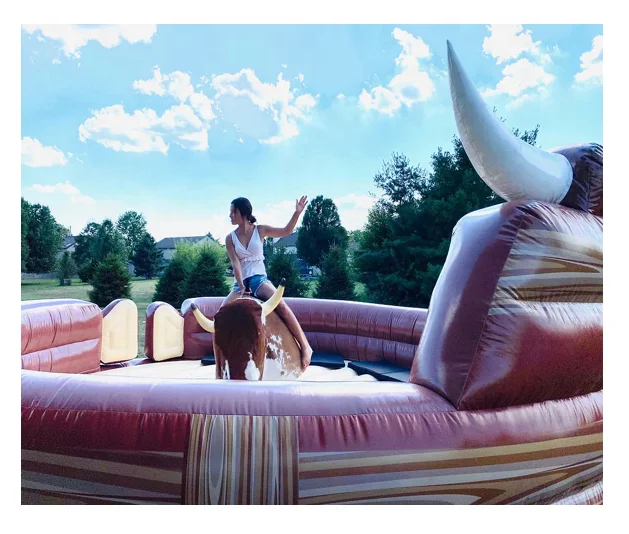 Custom Mechanical Bull Ride Western Style Mechanical Bull Ride Price Rodeo Bull Fight Game