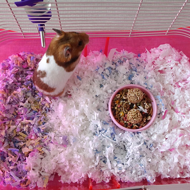 Eco friendly White Paper Bedding For Hamster Small Pets 570g RM