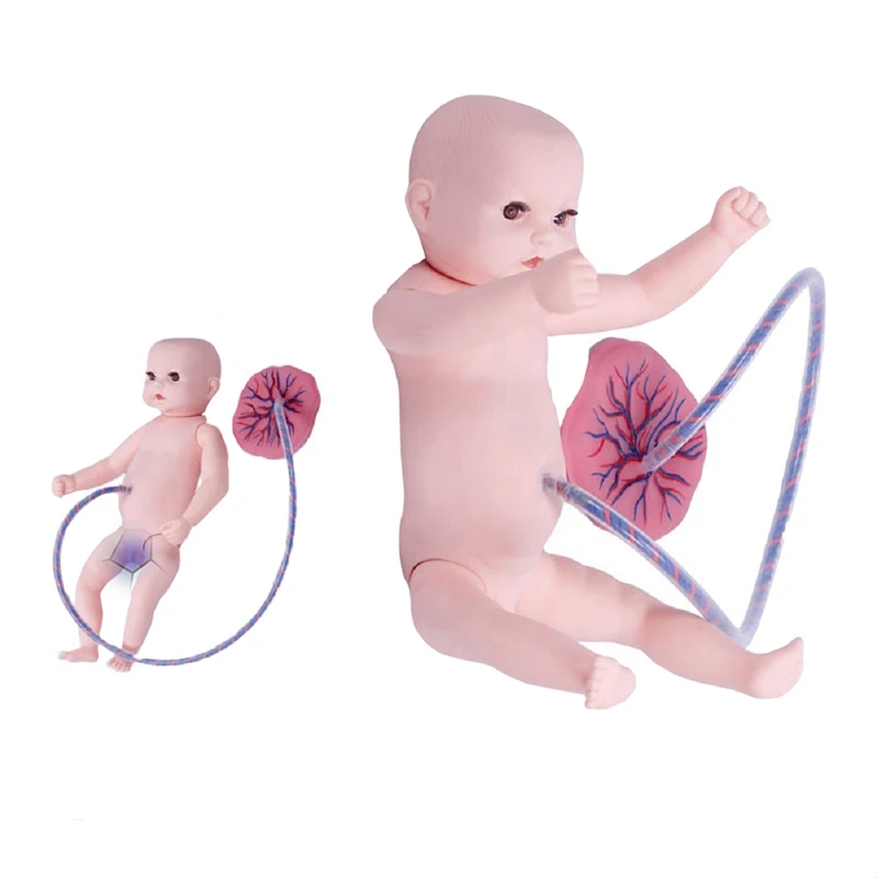 Realistic Baby Advanced Neonatal Umbilical Cord Care Model For Nursing Practice