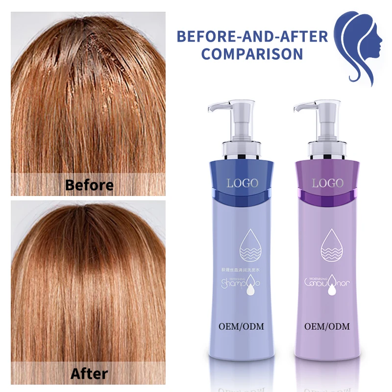 Diwei Hair Shampoo and Conditioner Set Pure Organic Sulphate Free Moroccan Argan Oil Shampoo OEM Free Sample Factory