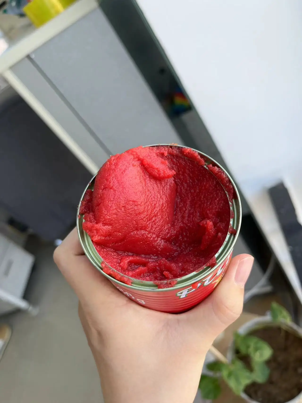 Organic Wholesale Easy Open Canned Concentrate 100% Purity 70g 210g 400g 2.2kg 28%-30% Oman Standards Tomato Paste Price