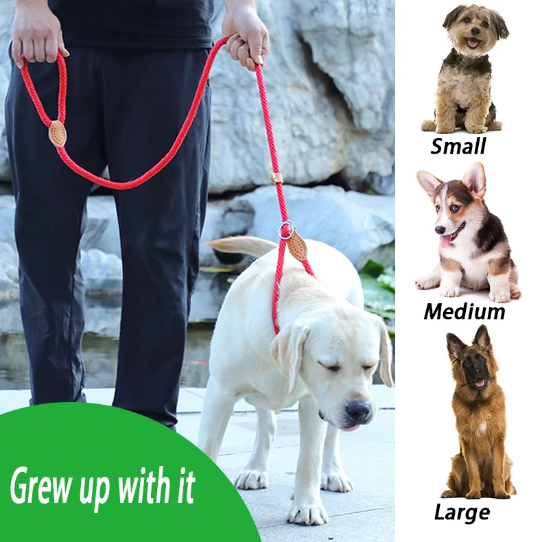 Dog Leash Slip Rope Waterproof Nylon Dog Leash No Pull Training Lead Leashes for Medium Large And Small Dogs