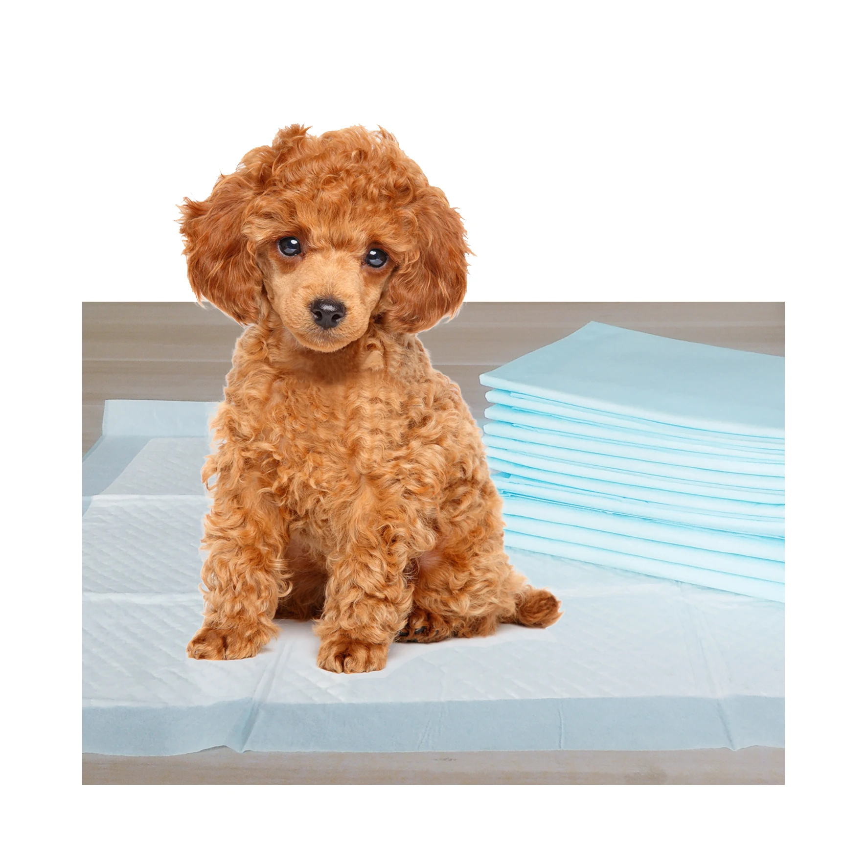 Wholesale Disposable High Absorbent Puppy Training Waterproof Pet Dog Pee Urine Pad