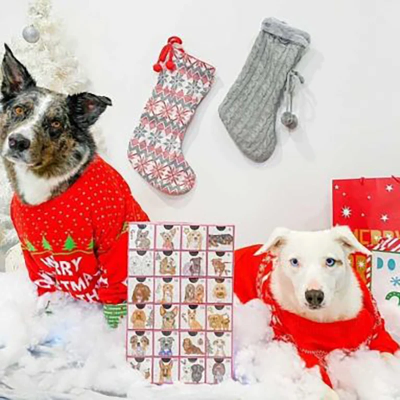 Custom Printed Cardboard Paper Empty Dog Christmas Advent Calendars For Dogs