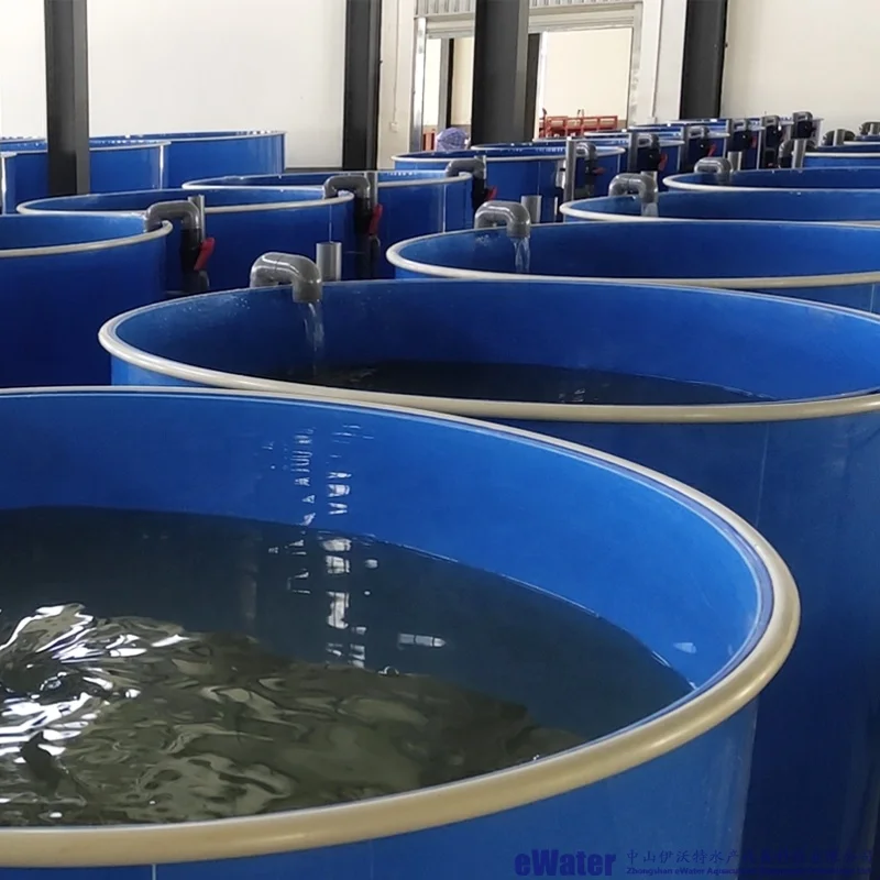 Tilapia Fish Farming Equipment Outdoor and Indoor Aquaculture System, Fish Incubator for Hatching