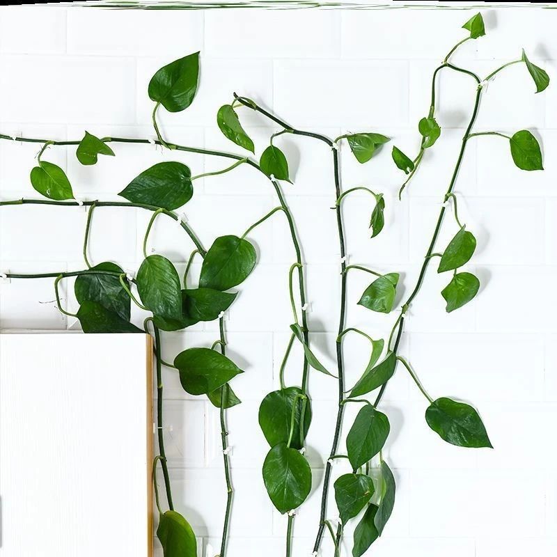 Adjustable cable clamp wire holder 3M cable clamp